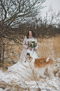 新娘在一个别致的礼服与狗在冬天领域820