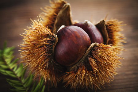 秋天收获果实图片