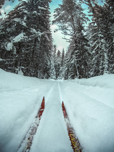 一对红滑雪板骑在越野滑雪跑道上的雪冬林。关闭的观点