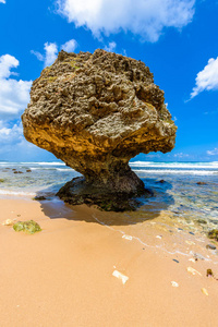 加勒比巴巴多斯岛东海岸示巴拔巴海滩岩石形成
