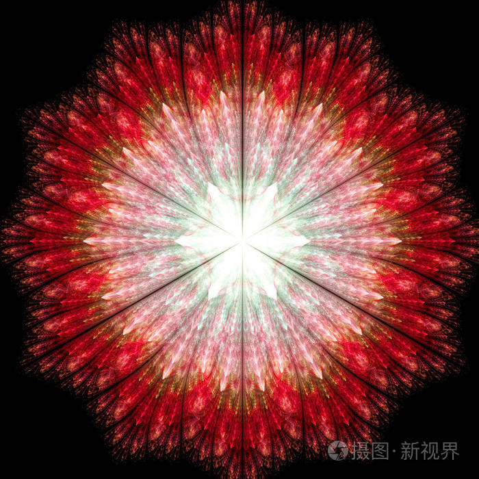 神圣的几何学.神秘的迷幻放松模式.分形抽象纹理.数字图象