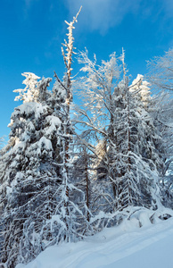 冬季喀尔巴阡山区景观