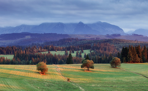 在 Pieniny，斯洛伐克景观