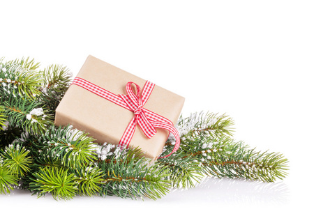 礼品盒的圣诞树枝