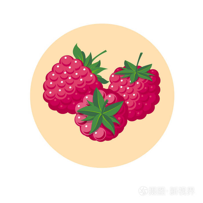 覆盆子插图.红色浆果在圈子里