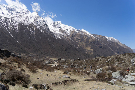 Langtang 徒步谷的喜马拉雅观
