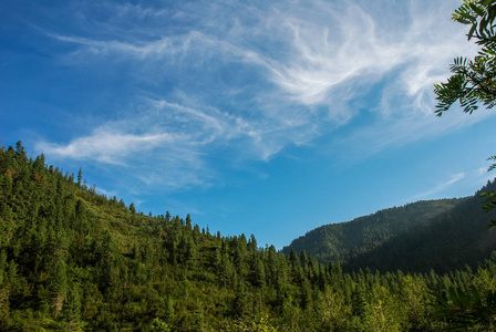 夏季山中美丽的阳光山谷