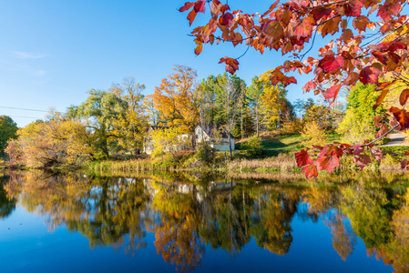 秋天树叶的新英格兰，美国