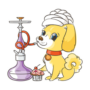 土耳其的头巾图片