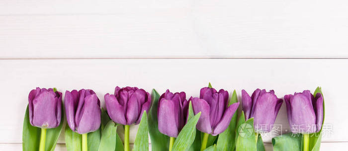 白色板上不同场合的紫色郁金香花束