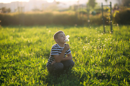 在阳光明媚的飞行图片