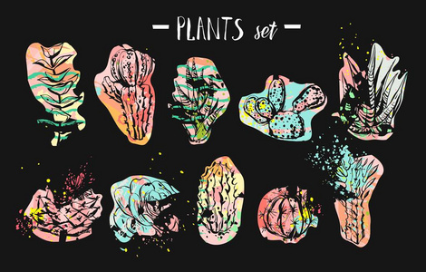 手绘制的矢量抽象图形创意多汁植物,仙人掌和植物收集设置多彩的艺术