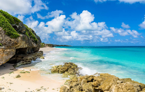 起重机海滩加勒比岛国巴巴多斯热带海滩
