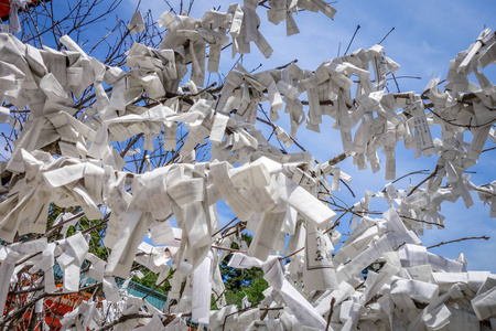 日本京都平安谷神庙 Omikuji 树