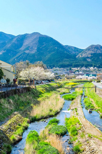 在日本汤春景