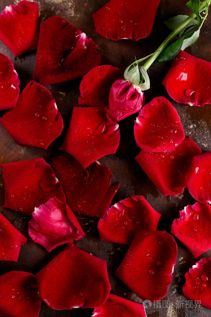 顶部视图平躺在黑暗的背景红色玫瑰花瓣浪漫激情的概念情人节文本空间