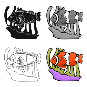 小丑鱼和海葵在白色背景上孤立的卡通风格的图标.