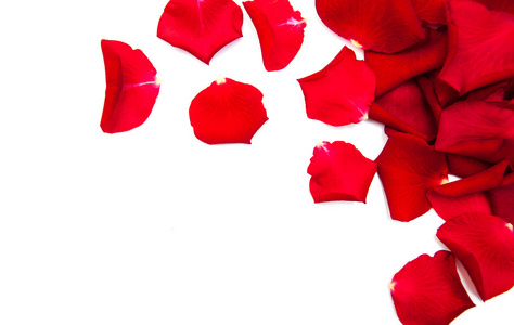 红玫瑰花瓣