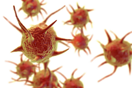 寄生虫病症图片