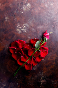 顶部视图平躺在黑暗背景的心脏形状的红色玫瑰花瓣。浪漫, 激情的概念。情人节。文本空间