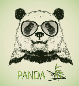戴着眼镜的熊猫熊肖像照片