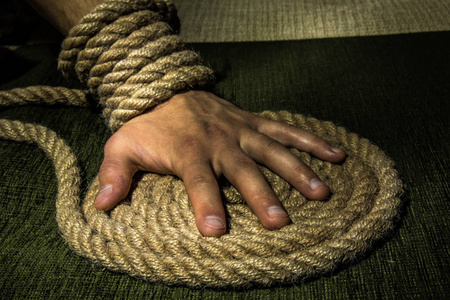 绑定的 ck 绳躺在地上的牛被鼻环和绳子绑在树上.