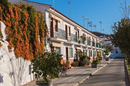 西班牙 Sanlucar de Guadiana 村的橙色卷发和其他花卉装饰房屋