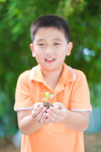 亚洲儿童举行幼苗植物在手里，在花园里，