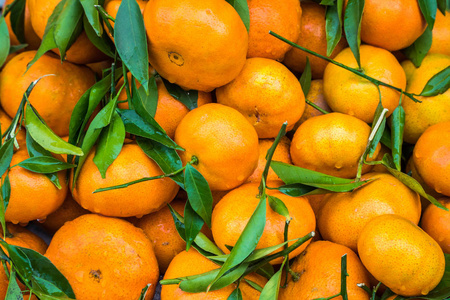 一堆新鲜的橘子橘子