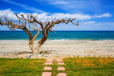 马莱迈海滩在克里特岛上的风景