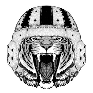 野生老虎野生动物穿橄榄球头盔运动图
