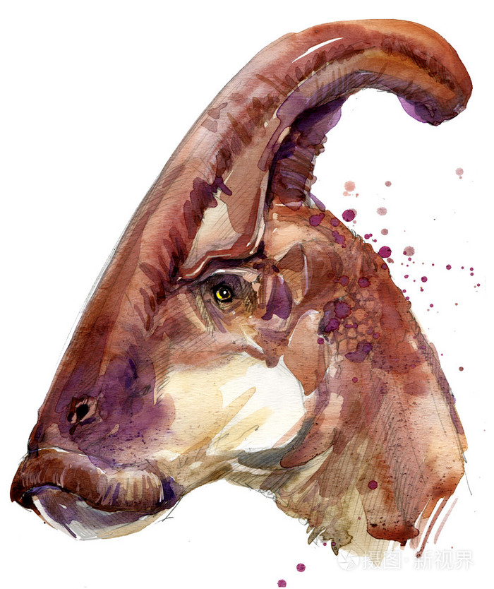 古代恐龙已经灭绝的动物插图.恐龙草绘背景