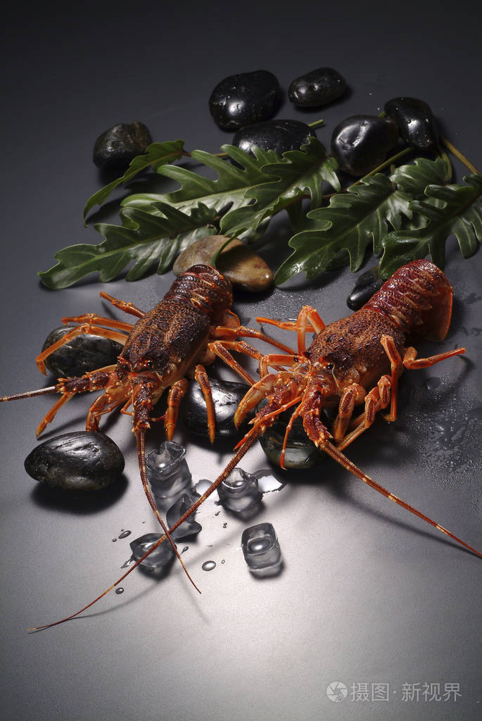 两个生龙虾特写视图