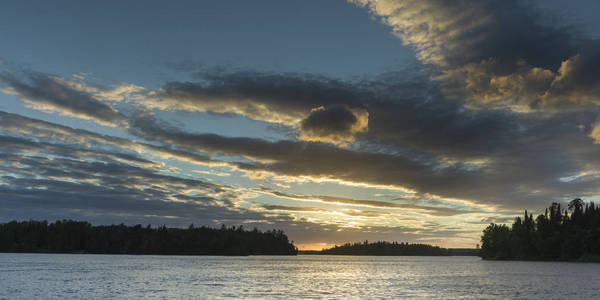 风景树在湖畔, 森林的湖, 安大略, 加拿大