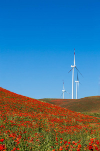 在一个典型的春天风力涡轮机巴西利卡塔景观
