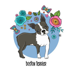 波士顿梗犬肖像