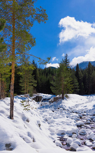 山河雪