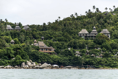 美丽的热带海滨线帕岸岛泰国绿色的棕榈树房子