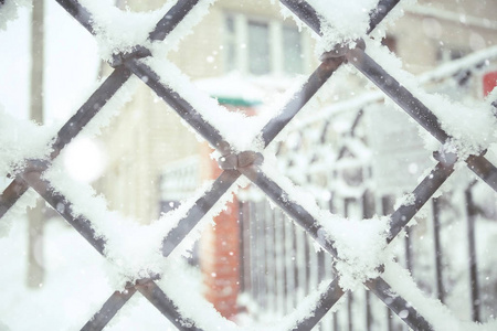 雪中钢篦