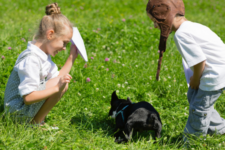 孩子们玩犬 法国斗牛犬