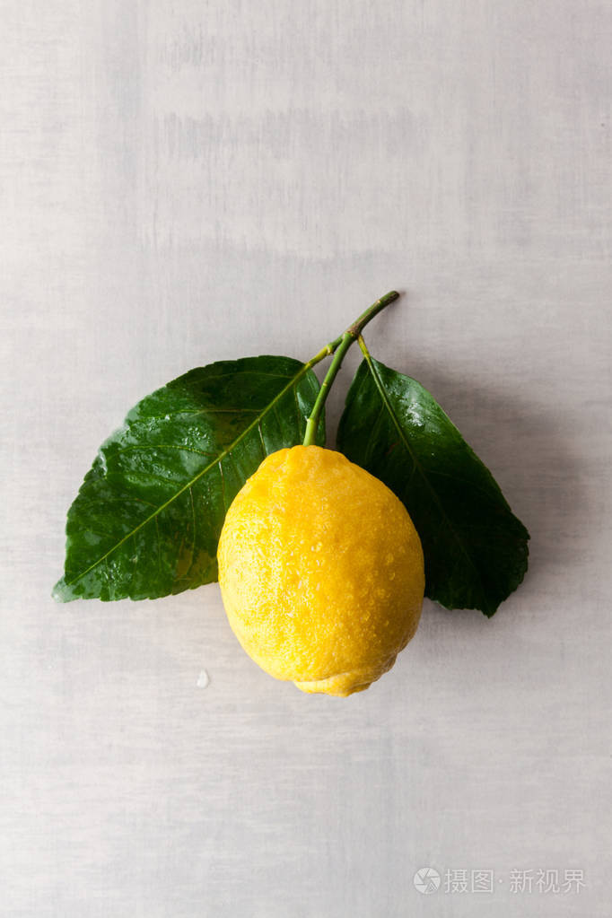 新鲜的大天然柠檬叶子