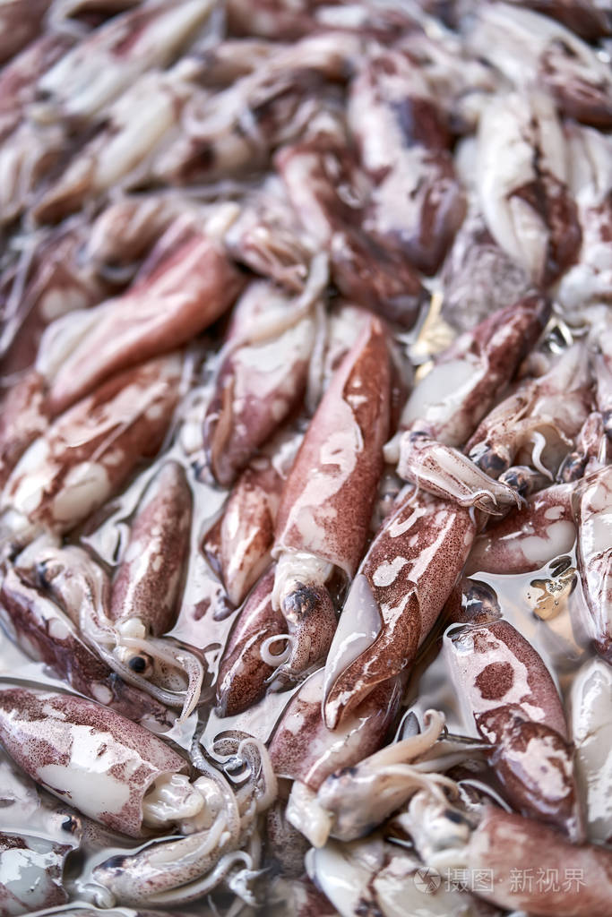 市场上的小乌贼