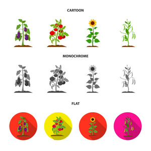 茄子, 西红柿, 向日葵和豌豆。植物集合图标在卡通, 平, 单色风格矢量符号股票插画网站
