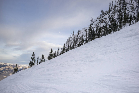 冬天, 雪覆盖着山上的树木, 踢马山度假村, 金色, 不列颠哥伦比亚省, 加拿大