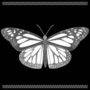 蝴蝶在 zenart 样式, 白色蝴蝶在黑背景