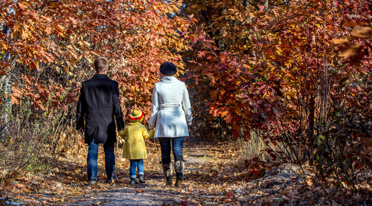 两代家庭走在秋季森林后视图