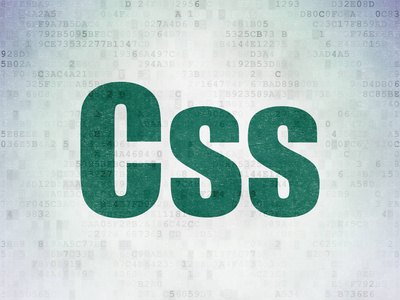 软件概念 数字数据纸背景上的 Css