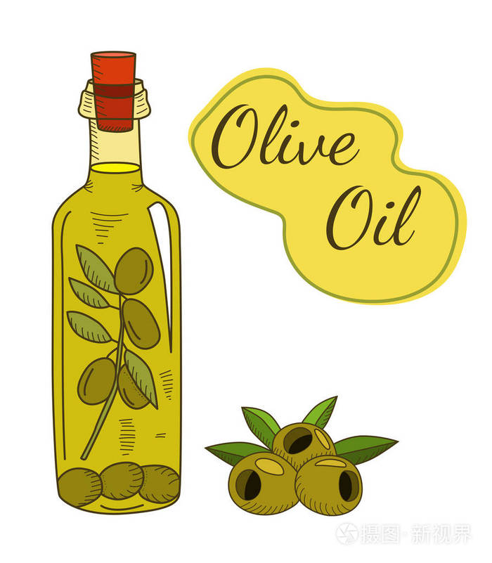 有一个分支和浆果瓶橄榄油插画-正版商用图片0ndxyp-摄图新视界