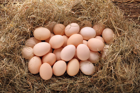 在干草巢鸡鸡蛋