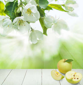 春天健康背景与绿色苹果果子, 春天花